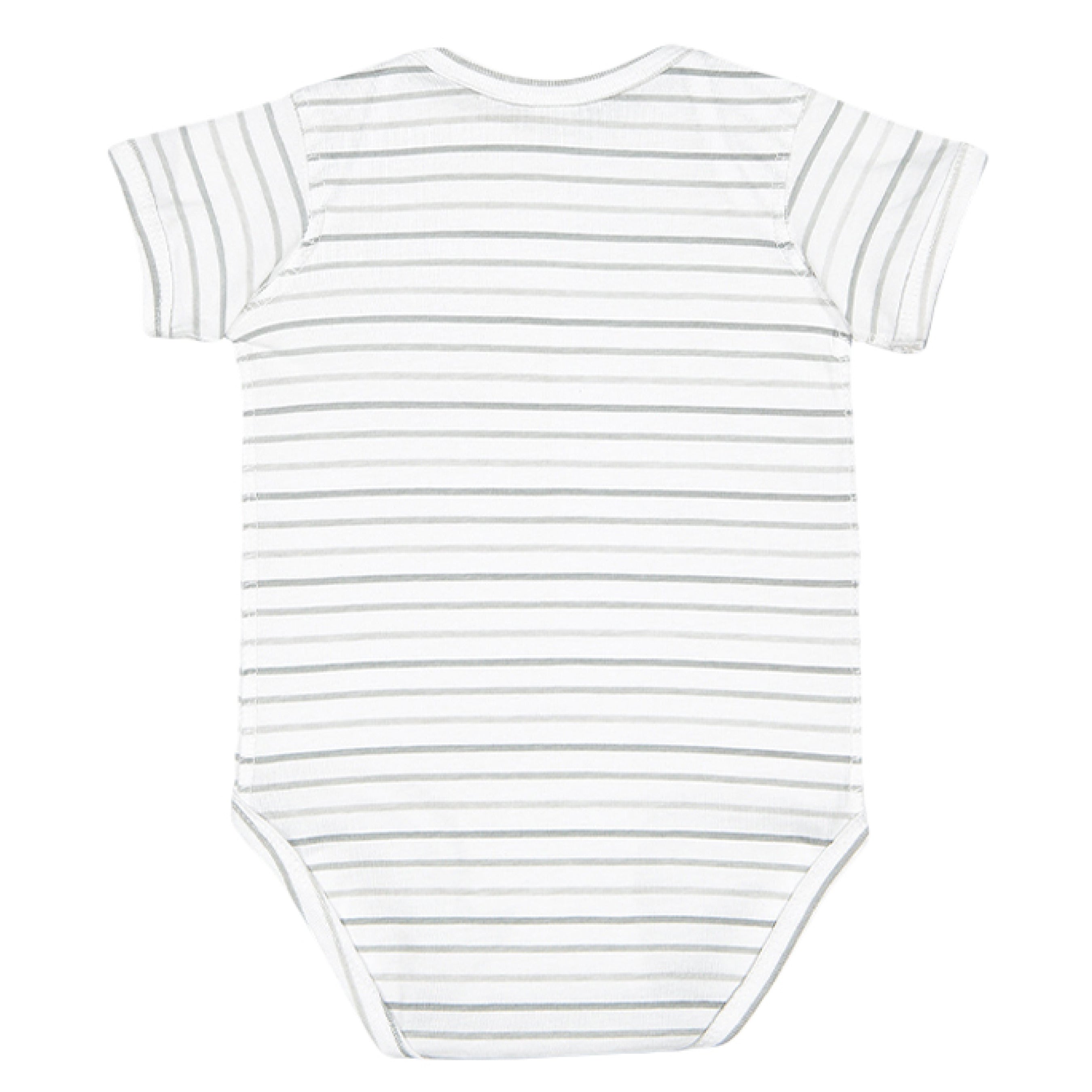 Shadow Stripe - BACK